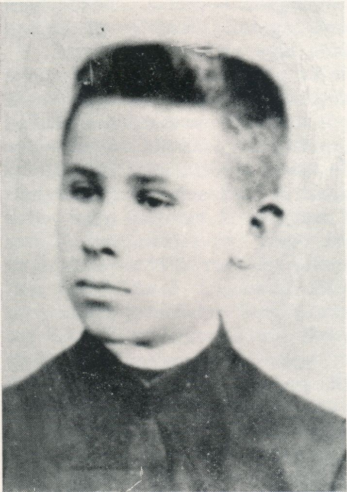 V. Borisevičius gimnazijoje