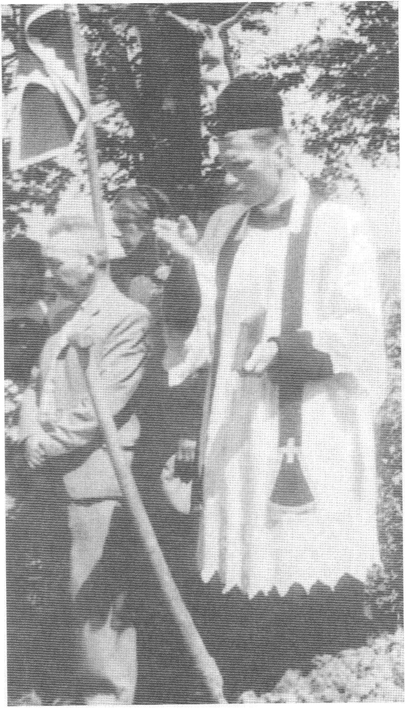 Palydint į Amžinybę.