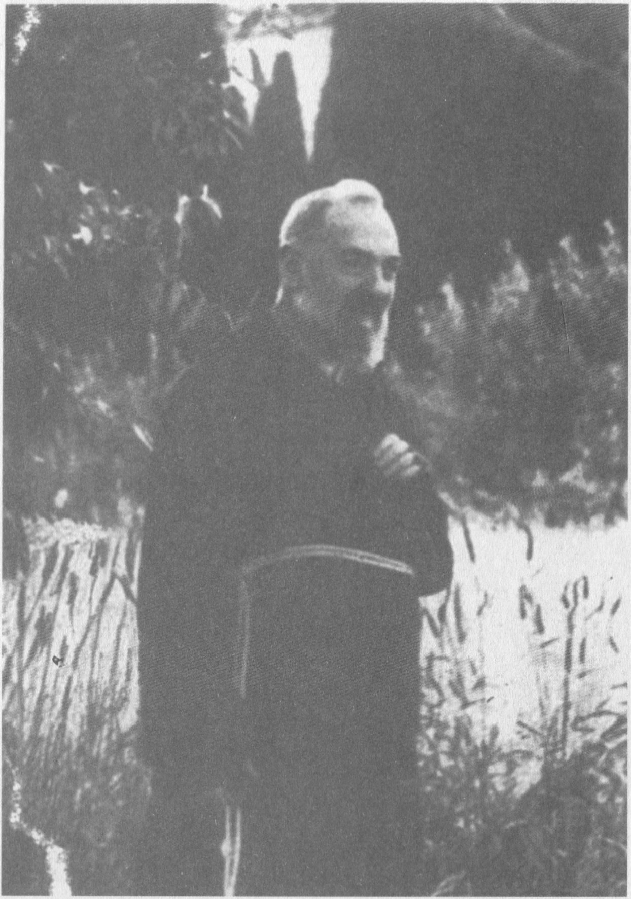 Gamtoje