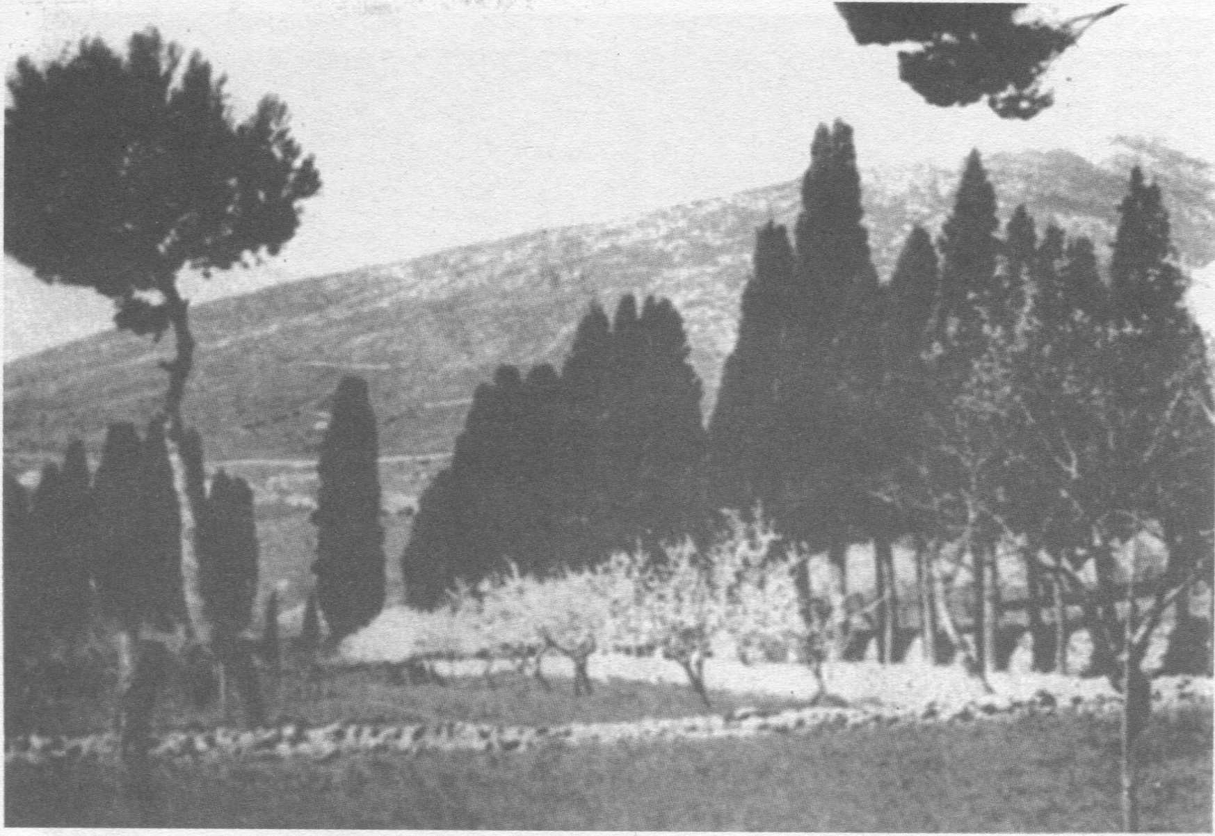 pavasaris